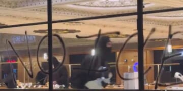 A mob descended on an Apple Store in Los Angeles, California, on Monday night, with suspects fleeing and ditching stollen iPhones.