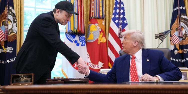 Musk Regrets Social Media Attacks on Trump