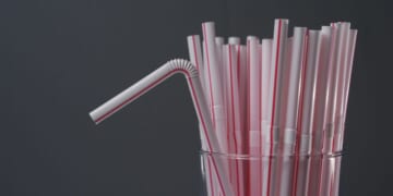Public will have chance to comment on proposed federal rule nixing paper straws