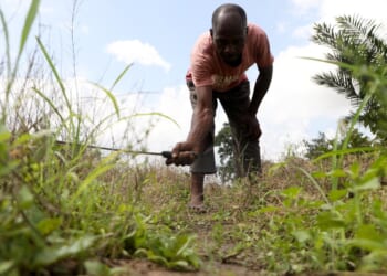 Benue Attacks Raise Fears of Food Shortages