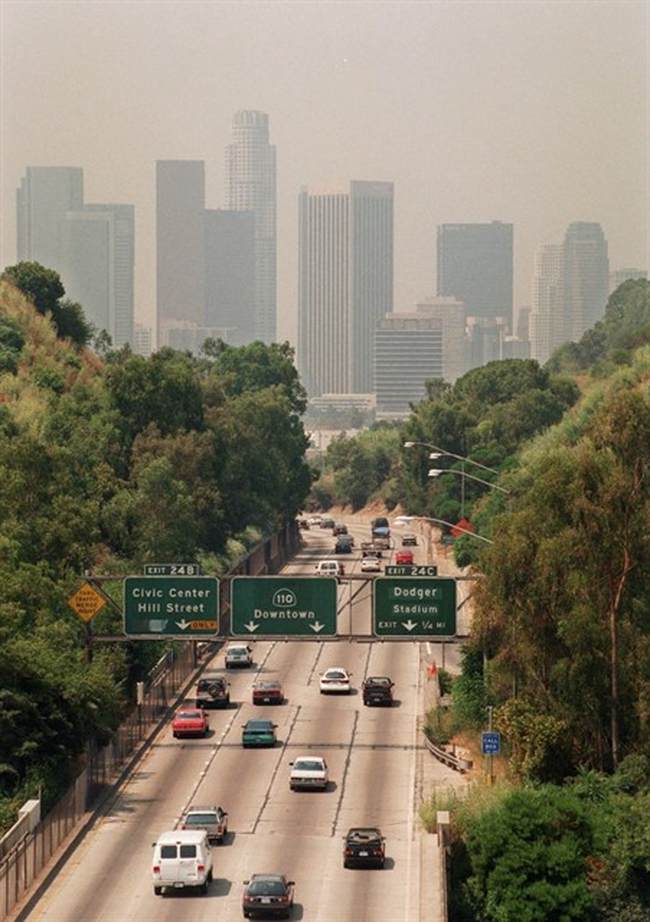 LA Squatter Dies Falling Out of Tree House He Built to Escape Eviction – HotAir