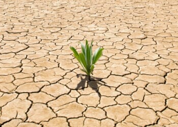 Staying Motivated in Ministry (When You're Not)