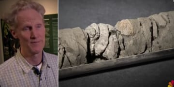 "Finding a dinosaur bone in a core is like hitting a hole in one from the moon," geology curator James Hagadorn said."It’s like winning the Willy Wonka factory."