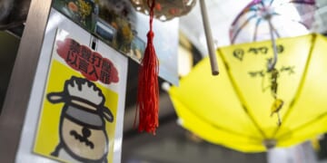 Hong Kong universities field hundreds of transfer requests from U.S. students