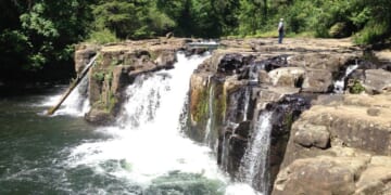 Human body parts found in Oregon river; cops looking into homicide