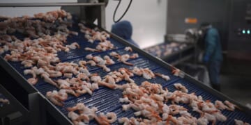 Seattle company recalls over 44,000 bags of shrimp over radiation concerns