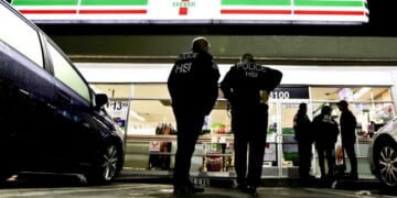 Court Restricts ICE LA Raids — Again – PJ Media