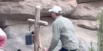 JD Vance was spotted running around at Disneyland.