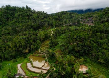 Muslim Mob Vandalize Villa Hosting Christian Retreat