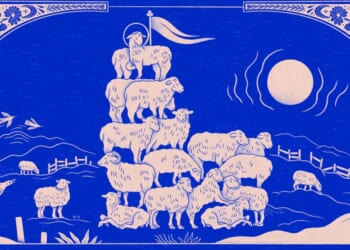 Shape up, Sheeple - Christianity Today