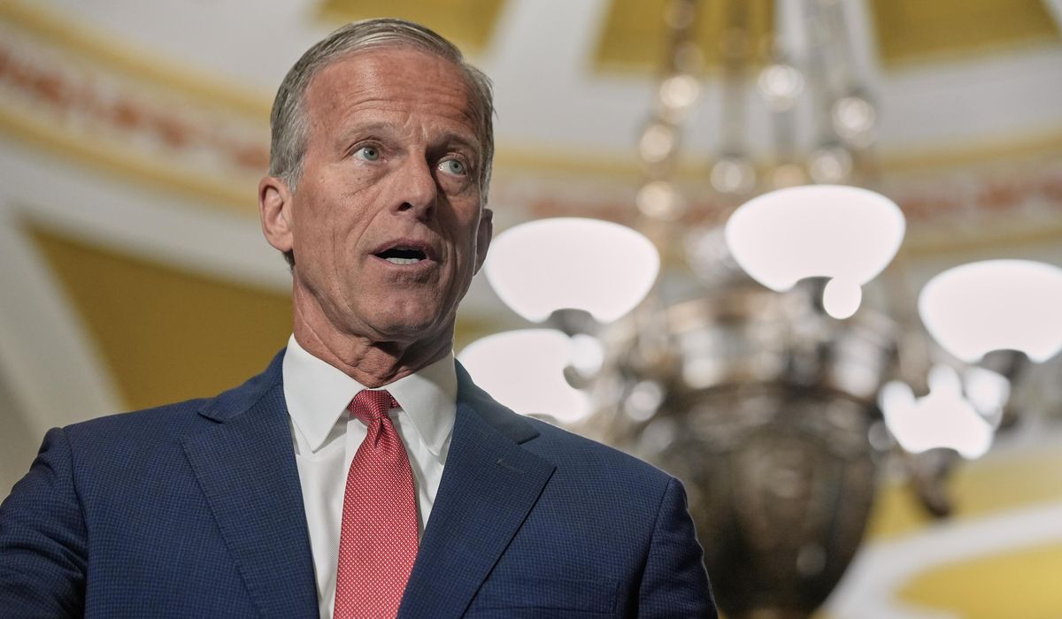 John Thune 'very concerned' about Donald Trump advising pregnant women not to take Tylenol