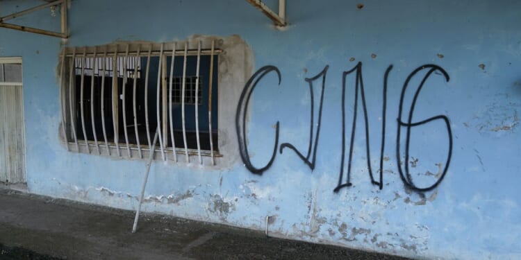 U.S. helps capture baby trafficking cartel leader 'La Diabla'