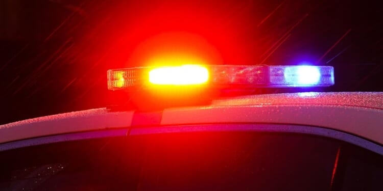 Woman suffers critical injuries after arm gets stuck in D.C. freight elevator door