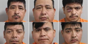 Six illegal alien Guatemalan national were arrested after a hit-and-run that left a man dead in Polk County, Florida, on Sunday.