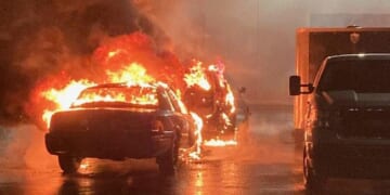 Politicians Portray Peaceful Portland Paradise and...Pinot Noir – HotAir