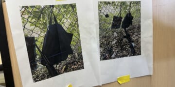 Ryan Routh Attempts Suicide Following Trump Assassination Conviction – PJ Media