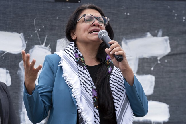 Should Rashida Tlaib Even Be in Congress? – PJ Media