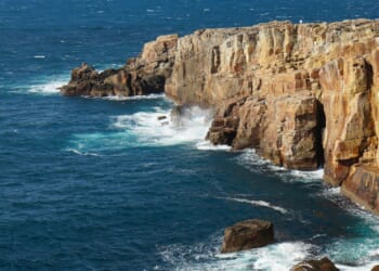 The Pastor Who Rescues People from Japan’s ‘Suicide Cliff’