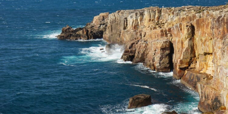 The Pastor Who Rescues People from Japan’s ‘Suicide Cliff’