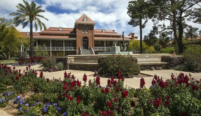 University of Arizona Prof Faces Dismissal for DEI Exposé – PJ Media