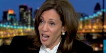 On Monday, former Vice President Kamala Harris went on MSNBC to promote her new book and took the time to jab President Donald Trump and call him a “tyrrant,” in a move the White House is calling an incitement of violence.