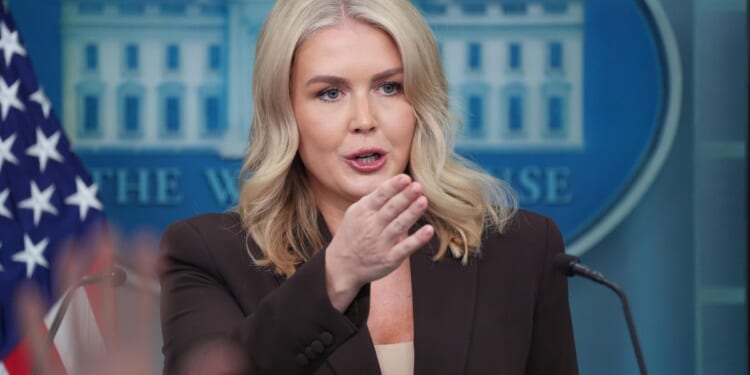 Karoline Leavitt takes Trump-appointed judge to task for blocking National Guard deployed to Oregon