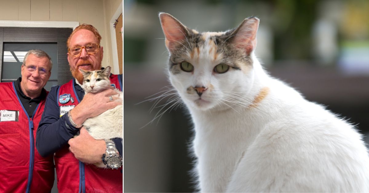 Mike Sida, left, and Wayne Schneider (holding Francine the Cat) set off at 4 a.m. Monday to bring the wayward kitty back to her home at Lowe's #1037 in RIchmond, Virginia.