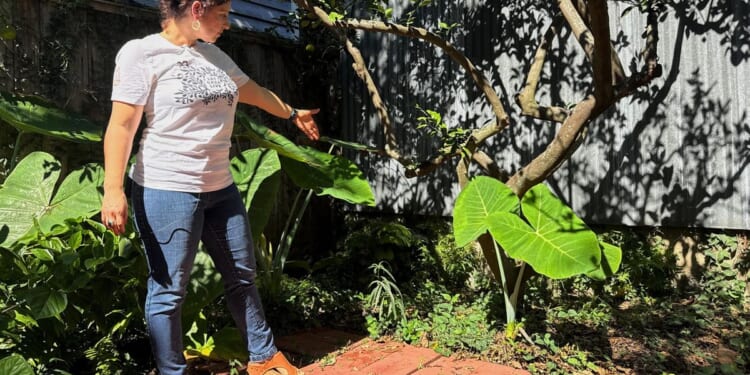 A long-lost ancient Roman artifact reappears in a New Orleans backyard