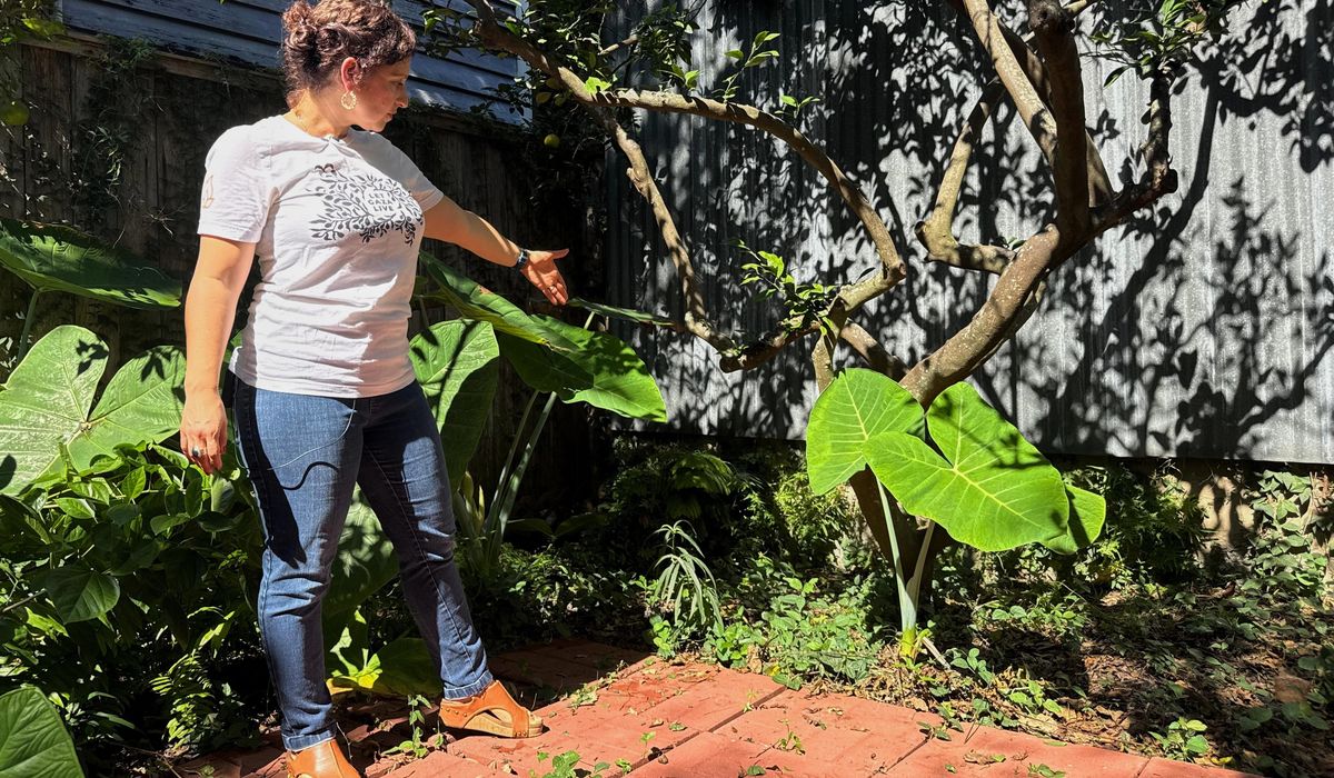 A long-lost ancient Roman artifact reappears in a New Orleans backyard