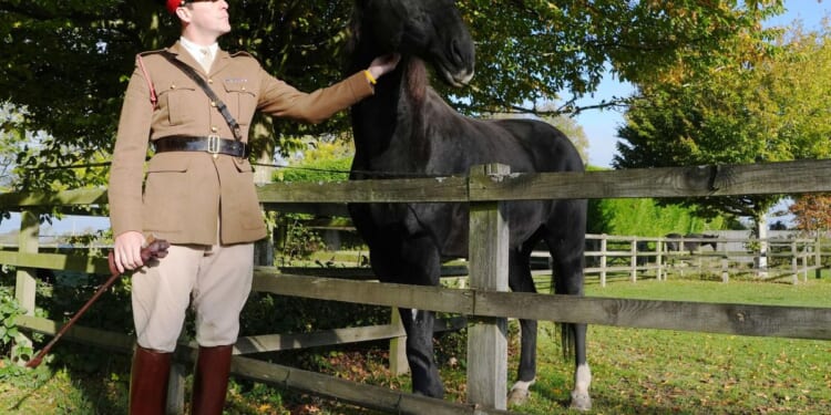 British army horse that galloped through London after being spooked gets well-deserved retirement