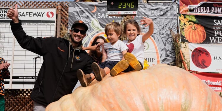 Engineer wins pumpkin contest with 2,346-pound gourd
