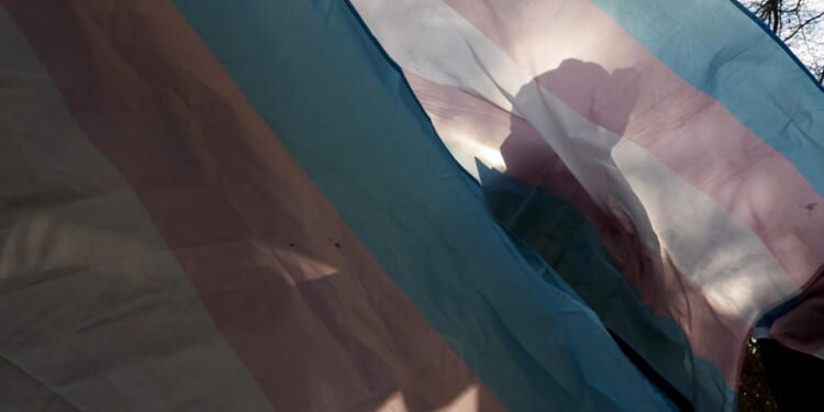 Study finds transgender identification in nosedive among American students