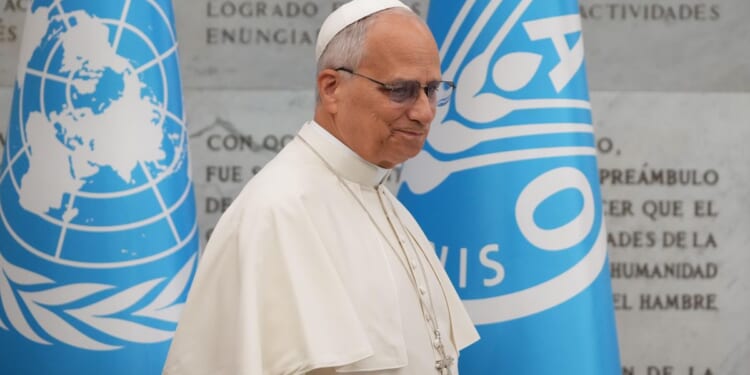 Pope Leo XIV urges world leaders 'not to look the other way' in fighting global hunger