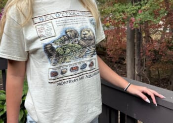 Taylor Swift vintage T-shirt sparks a $2M windfall for sea otters, Monterey Bay Aquarium