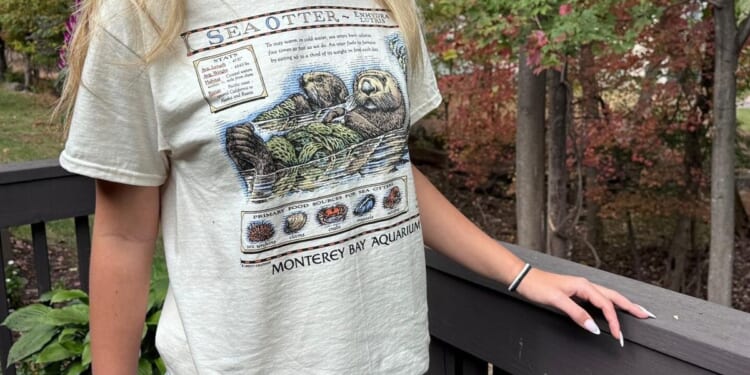 Taylor Swift vintage T-shirt sparks a $2M windfall for sea otters, Monterey Bay Aquarium