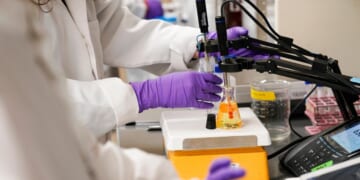 Highest levels of forever chemicals in those living near New Mexico plume, blood tests show