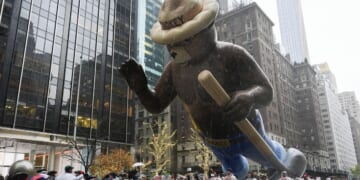Female Army drill sergeants to begin wearing iconic 'Smokey the Bear' hat next year