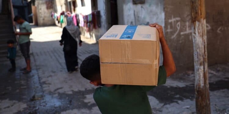 Amid Fragile Cease-Fire, Limited Aid Reaches Gazans