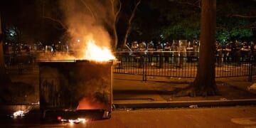 Attackers of ‘Big Balls’ Edward Coristine Avoid Jail, Receive Probation – PJ Media