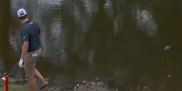 An alligator watches as golfer Vince Whaley hits his ball out of the lake at the Sanderson Farms Championship in Jackson, Mississippi, in early October 2025.