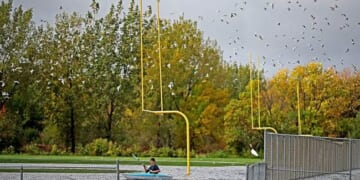 College NIL, Ohio High Schools, and the Integrity of Sport – PJ Media