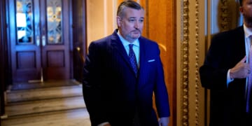 Cruz, Crane Lead Push to Require Citizenship Proof to Vote