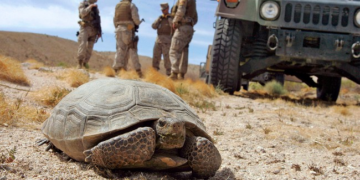 Dim Bulbs and Solar – HotAir