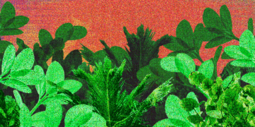 Fighting Fire with Plants - Christianity Today