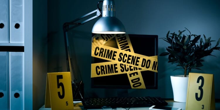 Police said cyber criminals used hacked data from a day care chain to demand a ransom for the personal information of children.