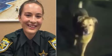 Deputy Devon Miller praised Eeyore the dog as a "true hero" for leading her to a missing Florida woman.