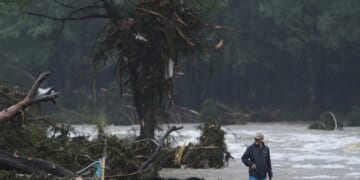 How the Insurance Industry Got Caught in the ESG Trap – PJ Media