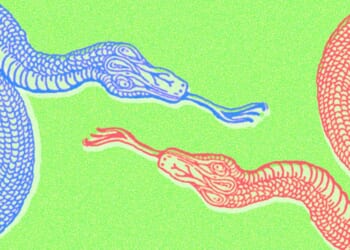 In Politics, Contempt Is a Common Tongue