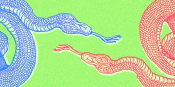 In Politics, Contempt Is a Common Tongue