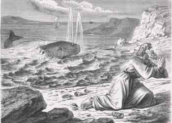 Jonah in an Age of Outrage